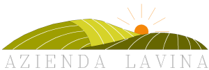 LOGO Aziendalavina